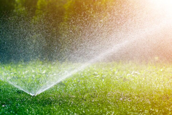 Rain Bird Sprinkler System Won't Turn On? (We Have A Fix!)