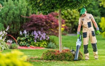 10 Best Cordless Leaf Blowers – [2022 Reviews & Ultimate Guide]