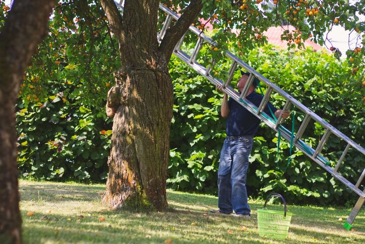 aluminum vs fiberglass ladder which is better