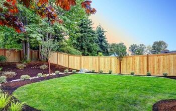 What Is The Best Direction For A Backyard To Face?