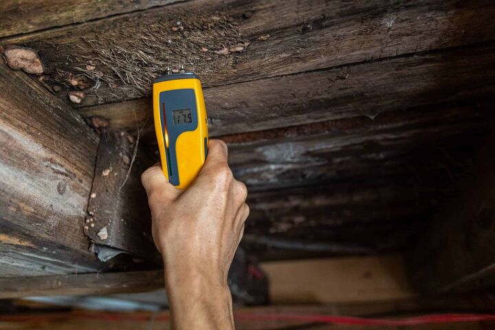 How to Get Rid of Mold on Floor Joists in a Crawl Space