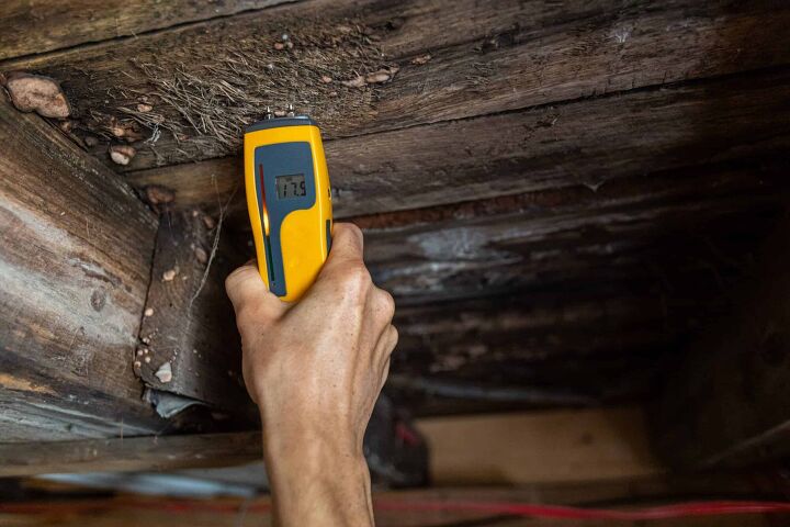 how to get rid of mold on floor joists in a crawl space