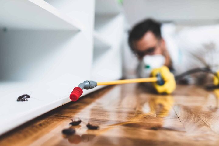 how to get rid of cockroaches in kitchen cabinets