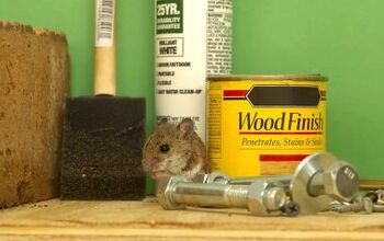 How to Keep Mice Out of Garage (In 8 Easy Steps)