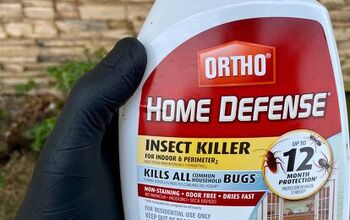 Is Ortho Home Defense Safe for Pets? (No, Here's Why)