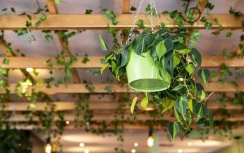 How To Hang Plants From A Ceiling Without Drilling