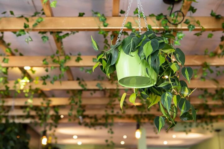 how to hang plants from a ceiling without drilling