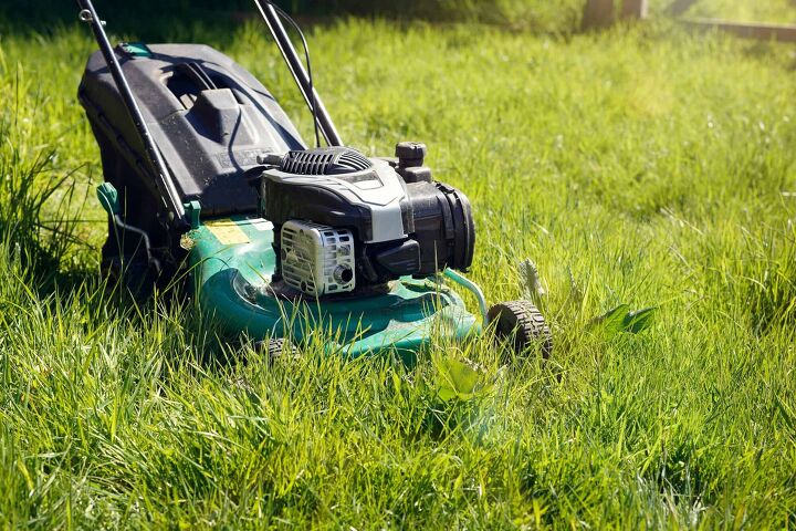 Too Much Oil In Your Lawn Mower? (We Have a Fix)