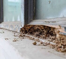 is a termite inspection required for a conventional loan
