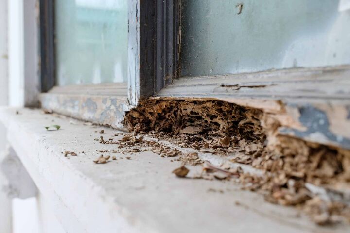 Is A Termite Inspection Required For A Conventional Loan?