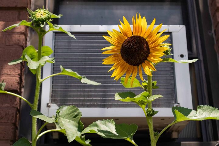 How Long Can You Leave a Window Air Conditioner Running?