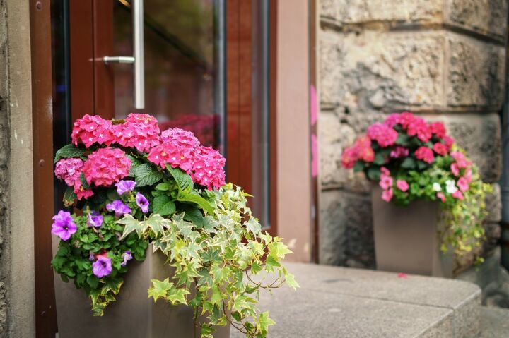 How To Keep Squirrels Out Of Flower Pots