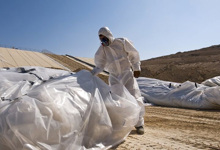 how much does asbestos removal cost