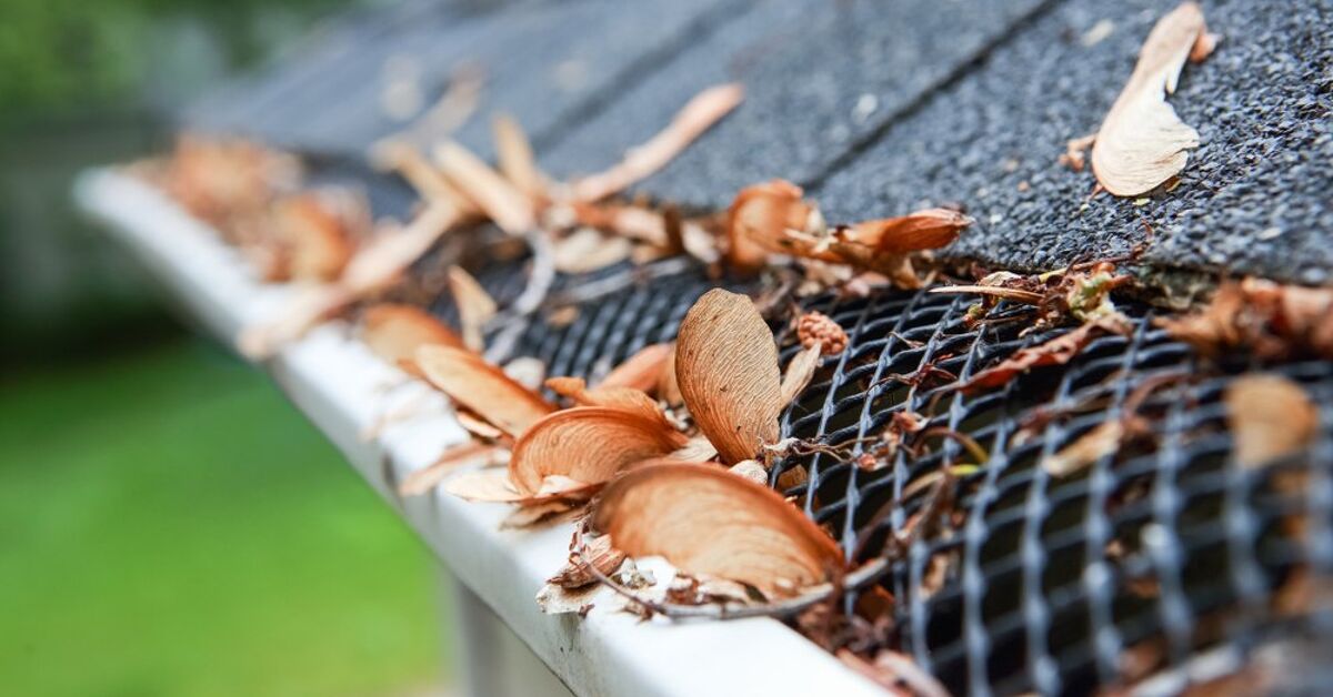 Valor Gutter Guards Review How Do These Leaf Guards Stack Up