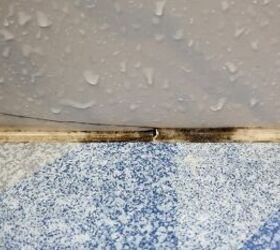 How To Get Rid Of Mold In Shower Caulk (6 Ways To Do It!)