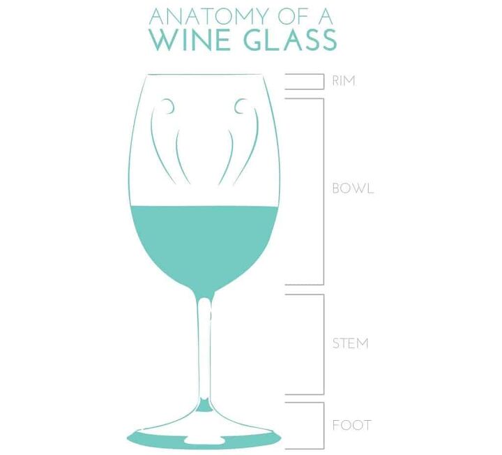 11 different types of wine glasses and their uses