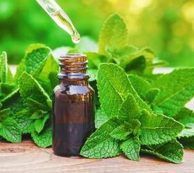 where to buy peppermint oil food grade and essential oils