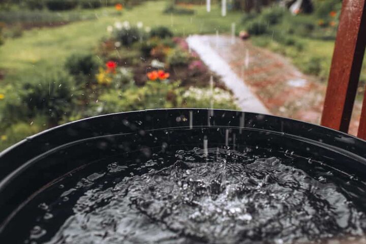 How To Collect Rainwater Without Gutters (4 Ways To Do It!)
