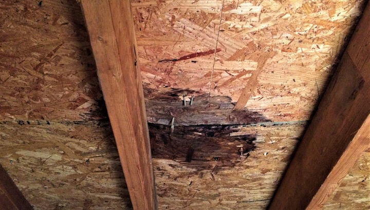 Roof Leak Inside Attic Wet Plywood