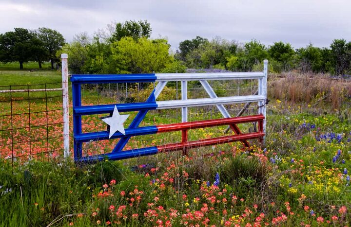 What Are The Pros And Cons Of Moving To Texas?