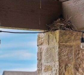 How To Keep Birds Off Your Porch (10 Ways To Do It!)