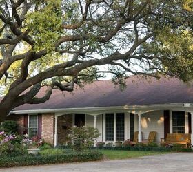 when to trim oak trees to avoid damage do this