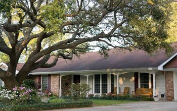 When To Trim Oak Trees To Avoid Damage (Do This!)