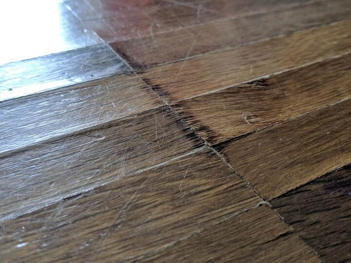 hardwood floor buckling how to fix it and save your foor