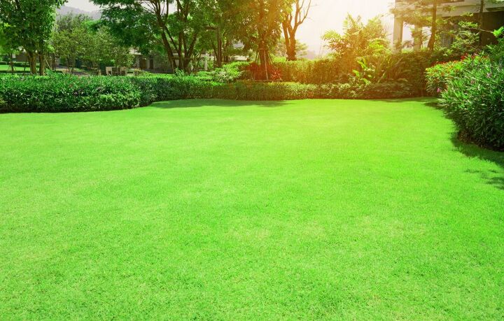 Bermuda Vs. Zoysia Grass: What Are The Major Differences?