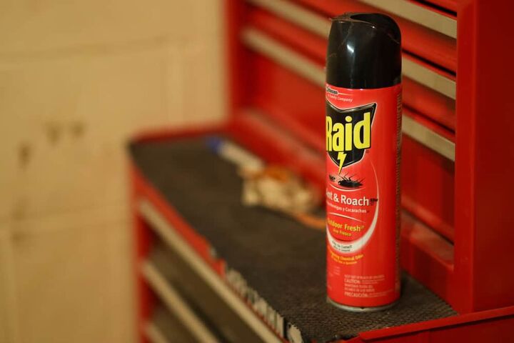 how long after spraying raid is it safe find out now