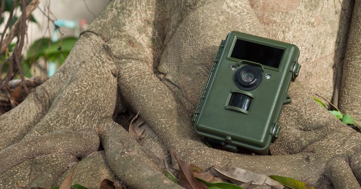 How To Hide A Trail Cam For Home Security (Do This!) | Upgradedhome.com
