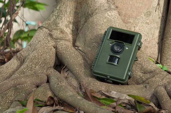 How To Hide A Trail Cam For Home Security (Do This!)