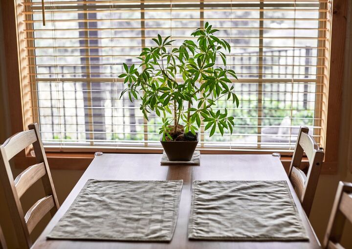 How To Shorten Cordless Mini Blinds (Quickly & Easily!) | Upgradedhome.com
