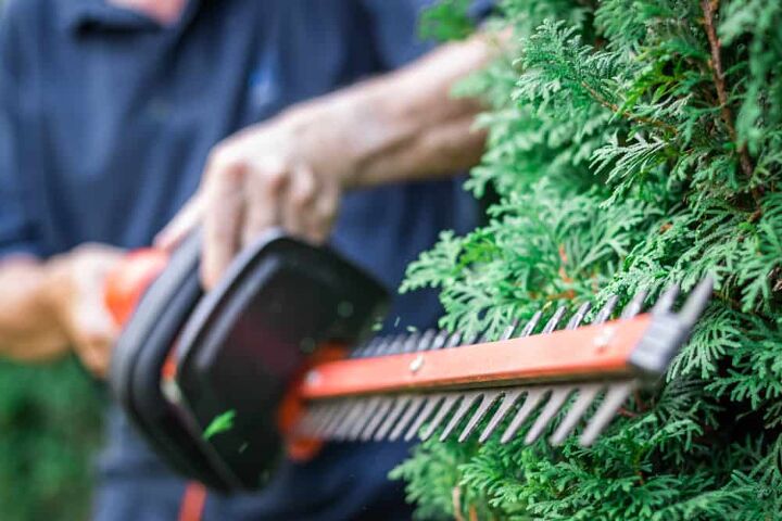 Why Is The Black and Decker Trimmer's Auto-Feed Not Working?
