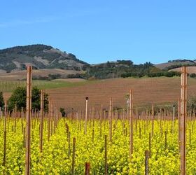 what are the 10 cheapest places to live in sonoma county ca
