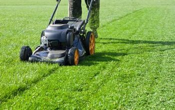 5 Best Lawnmowers for Wet Grass (We Have a Winner)