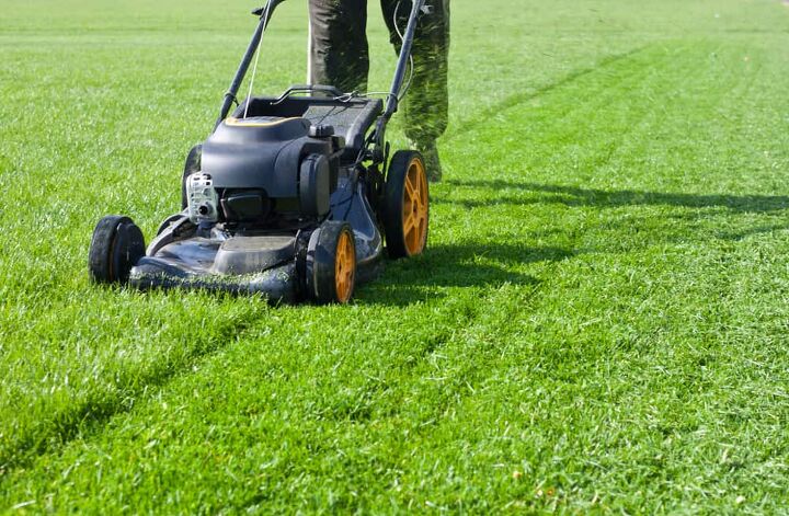 5 Best Lawnmowers for Wet Grass (We Have a Winner)