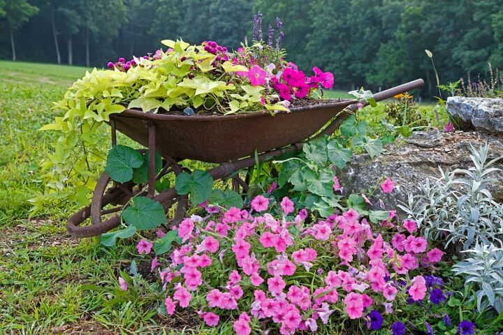 25+ Different Types of Wheelbarrows | Upgradedhome.com