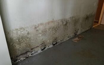 How To Get Rid Of Mold In Your Basement (Quickly & Easily!)