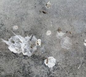 how to clean bird poop off concrete quickly easily