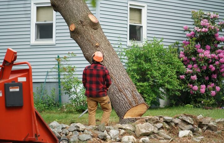 can i deduct tree removal on my taxes find out now