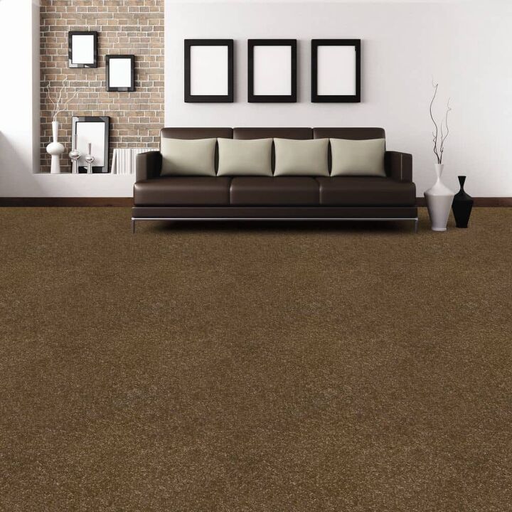 what color paint goes with brown carpet find out now
