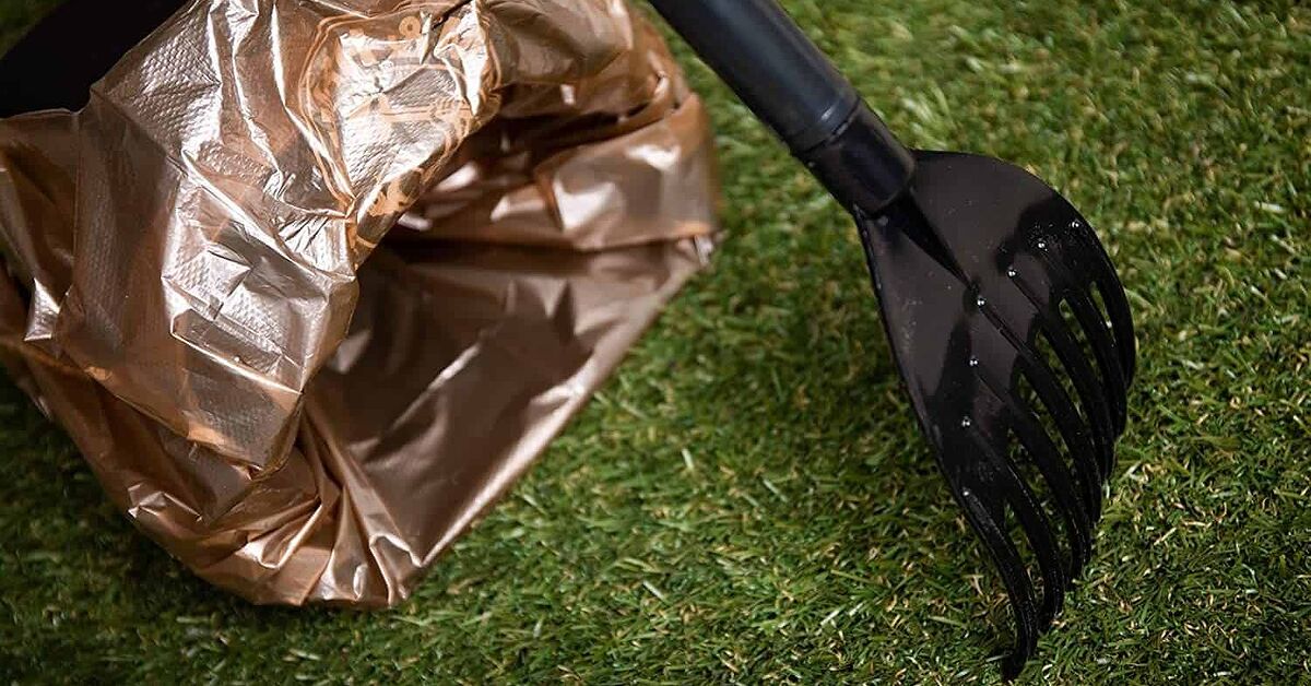 25 Types of Rakes and Their Uses (with Pictures) | Upgradedhome.com