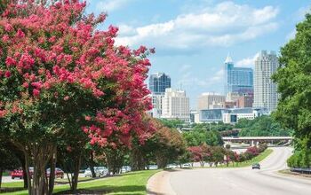 The 5 Best Neighborhoods In Raleigh For Young Professionals