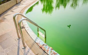 Is It Safe To Swim In Green Pool Water? (Find Out Now!)