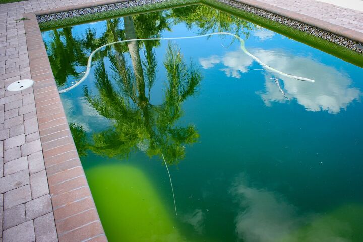is it safe to swim in green pool water find out now
