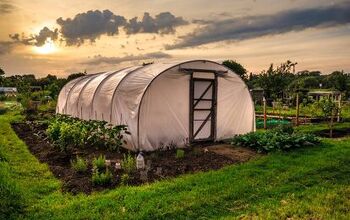 Clear Vs. White Greenhouse Plastic: Which One Is Better?