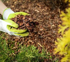 What Is The Best Mulch To Use To Avoid Termites? (Find Out Now!)