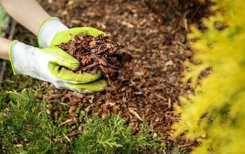 What Is The Best Mulch To Use To Avoid Termites? (Find Out Now!)