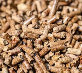 Can You Use Traeger Pellets In A Green Mountain Grill? (Find Out Now!)